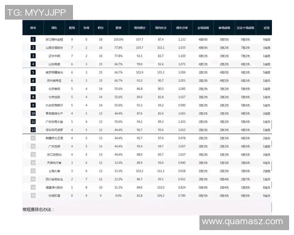 CBA北京与深圳比赛后数据分析揭示球队表现与关键球员贡献