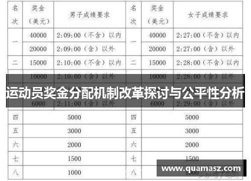 运动员奖金分配机制改革探讨与公平性分析