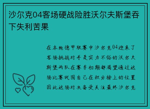 沙尔克04客场硬战险胜沃尔夫斯堡吞下失利苦果